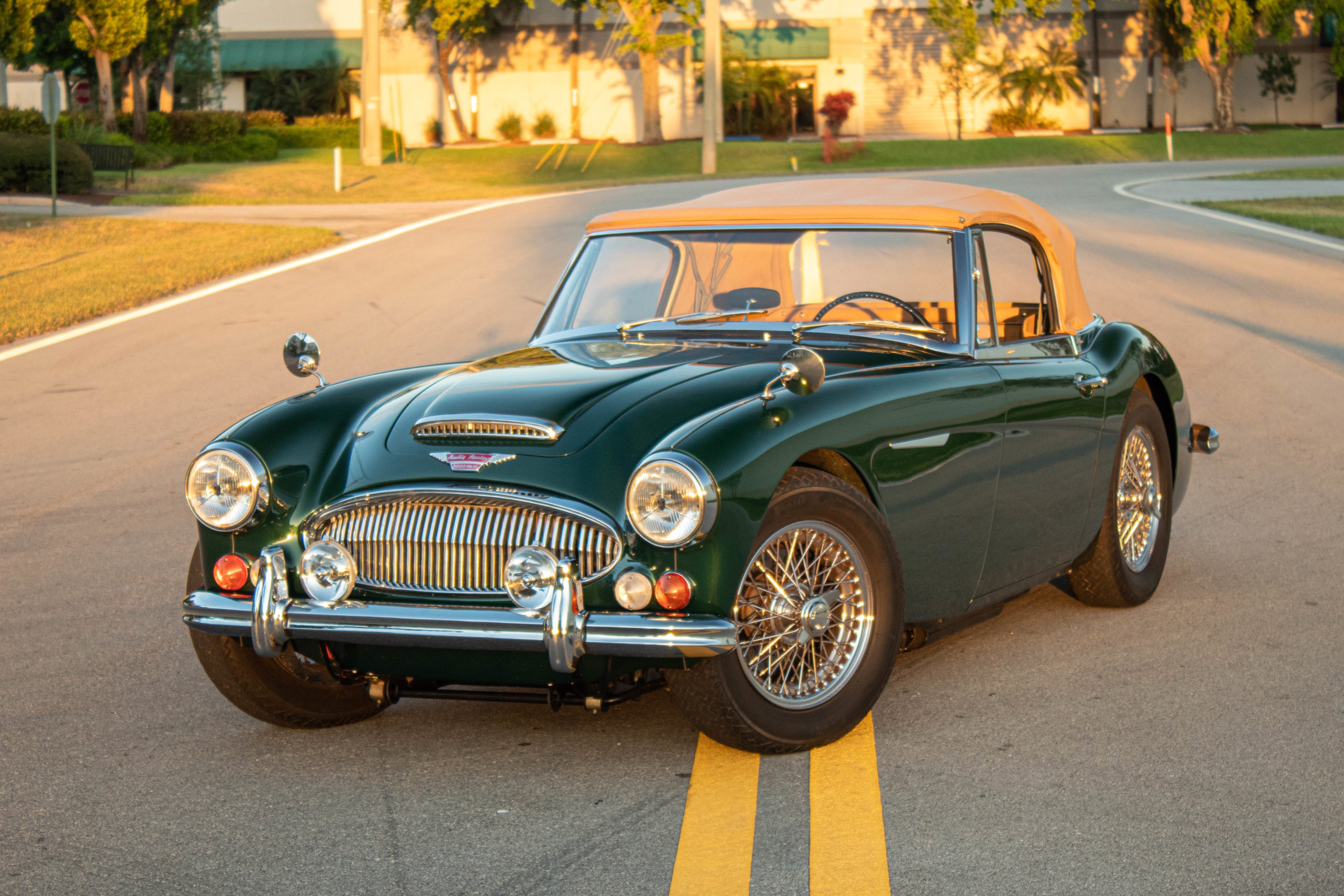 Austin Healey Cars For Sale