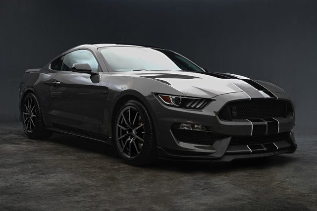 Mustang